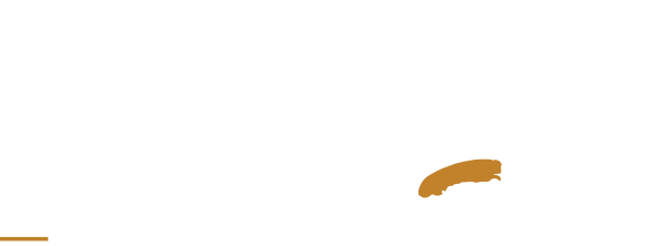 logo DBM blanc